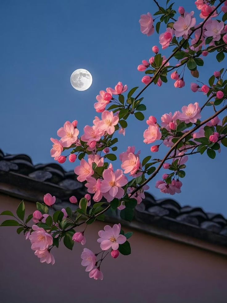 moreiramanuelj's tweet image. Si refrenas tu Masculino Sagrado, te quedas en la espera eterna: sin decidir, sin actuar, sin decir lo que sientes.
Atrévete a pasar a la acción desde el corazón, sin violencia, avec firmeza y respeto por ti.
#AcciónConsciente #Empoderamiento #EquilibrioInterior