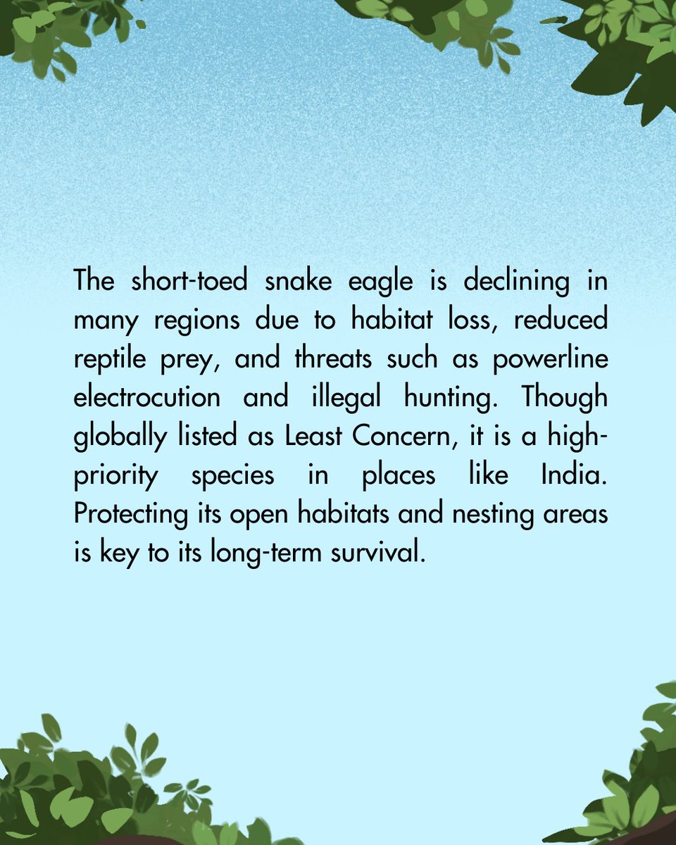 WCS-India tweet media