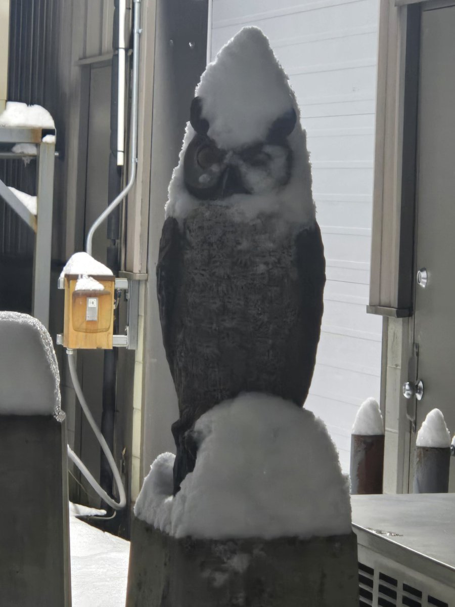 blazin gamin (@blazeingamin) on Twitter photo 