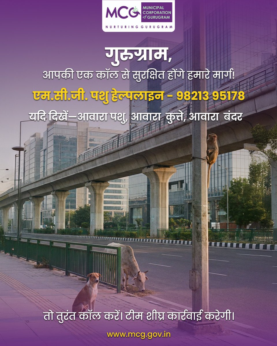 📞 MCG Animal Helpline – 9821395178
गुरुग्राम शहर में आवारा पशु, कुत्ते व बंदरों से संबंधित किसी भी समस्या की सूचना दें।

🐄 Stray Cattle
🐕 Stray Dogs
🐒 Monkeys

📌 तुरंत संपर्क करें, टीम मौके पर कार्रवाई करेगी।

👤 नोडल अधिकारी:
श्री हरिओम (JE) – 094684 84840

#MCG