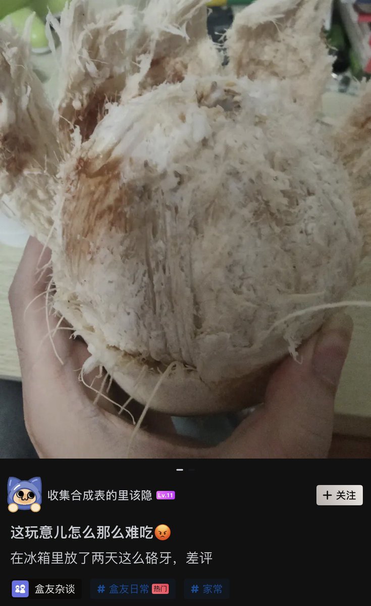 雲鳩 tweet media