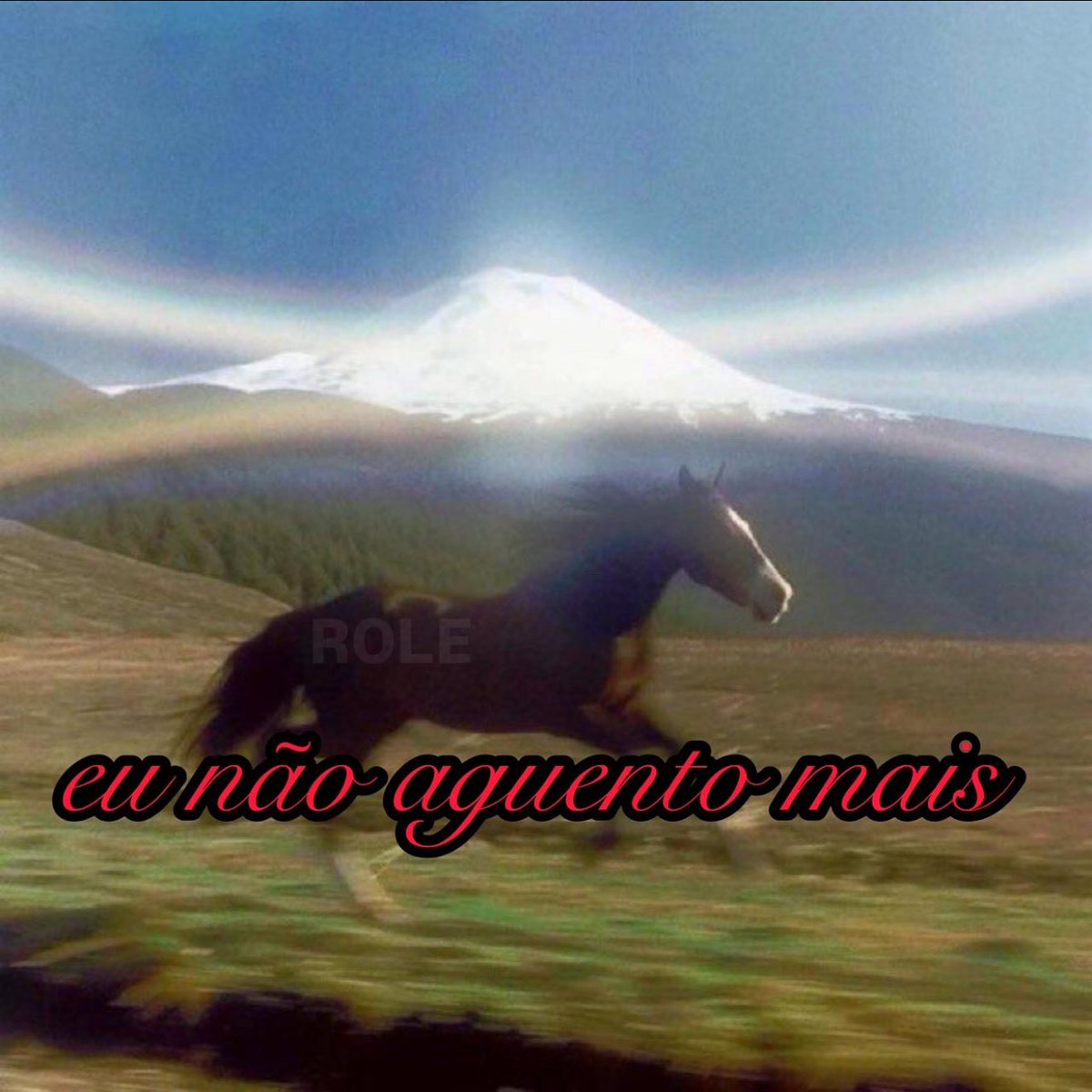 rolealeatorio's tweet image. 