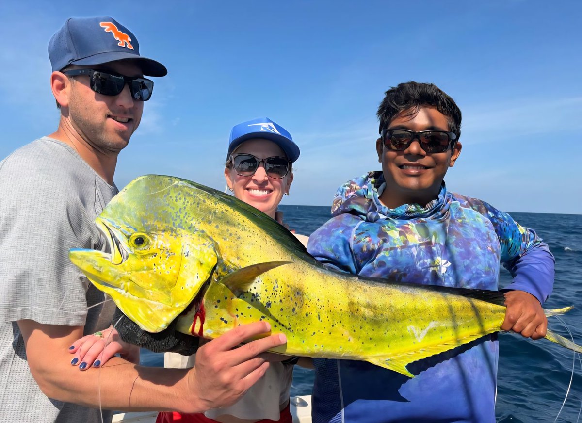 PuertoCharters's tweet image. Puerto Vallarta winter fishing
travelvallarta.com