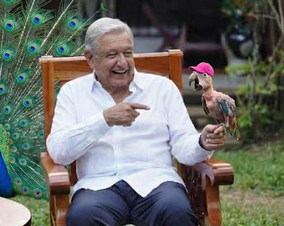 Poncho Gutiérrez tweet media