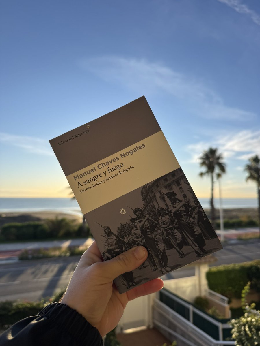 ⚡️Sergio González tweet media