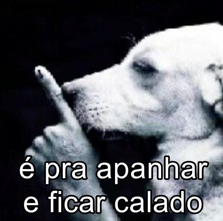 something1s's tweet photo. Meu dia mais leve esse ano: https://t.co/05fwxjDS3h
