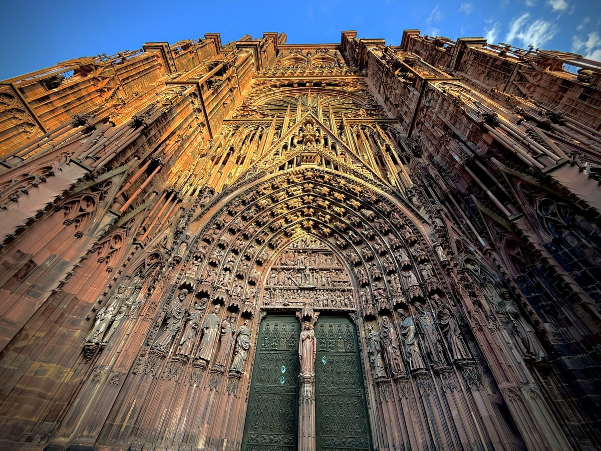 Procto_Log's tweet image. 