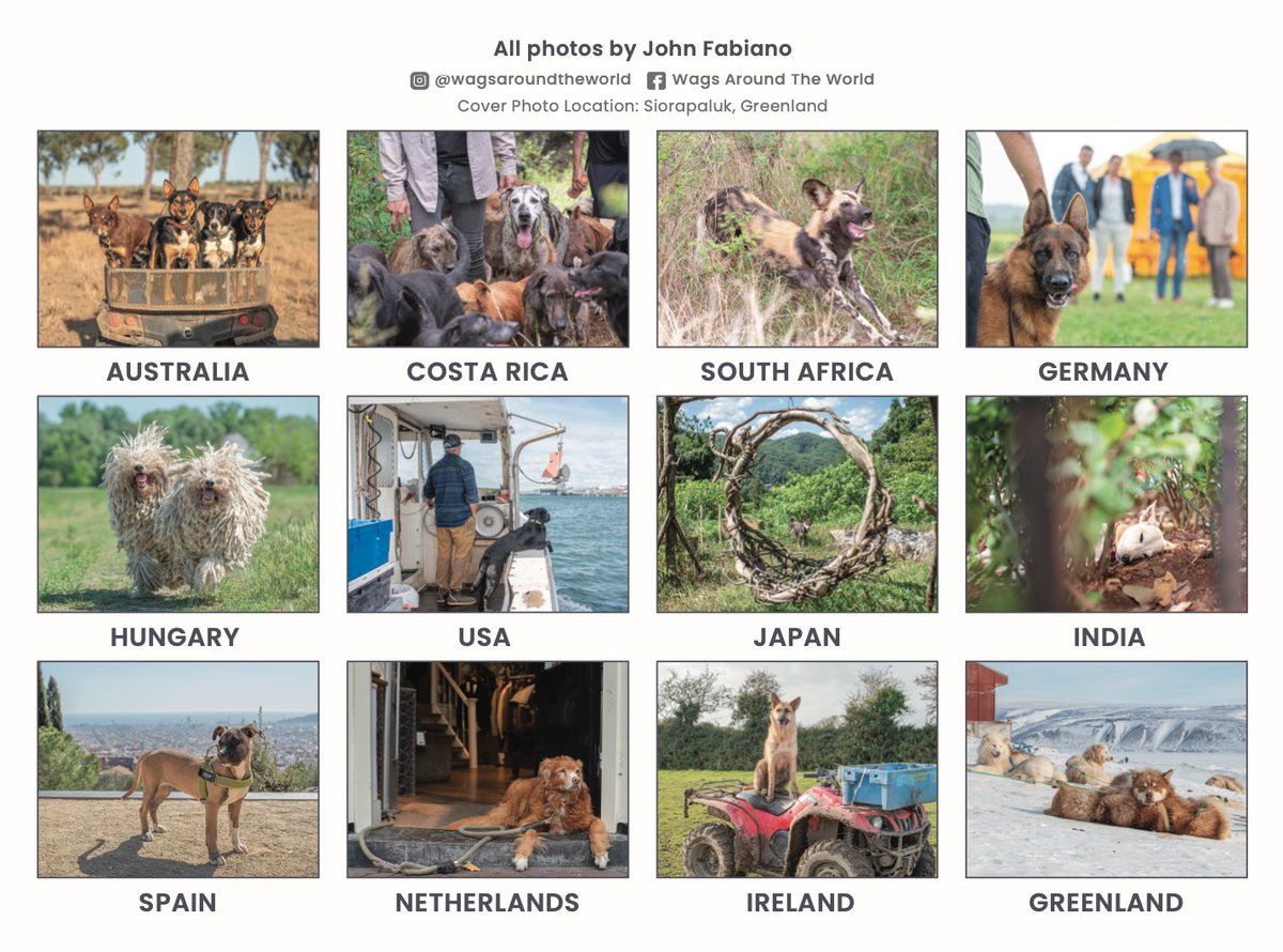 WagsAroundWorld's tweet photo. 🚨 DING DING 🚨

The 2026 WATW calendar is live and ready to order!

This year proceeds will benefit @LandofStrays - the magical dog sanctuary in Costa Rica. They care for over 1,800 stray dogs and I am honored to support their incredible work.

Link in bio to order let’s gooooo! https://t.co/iTwKyaAq0H