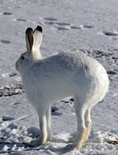아니 내 기억 속 홍홍아는 10살 홍홍안데 12살 됐다고 다리 ㅈㄴ 길어진거 뭐야 ?; 190 아무나 하는거 아니네