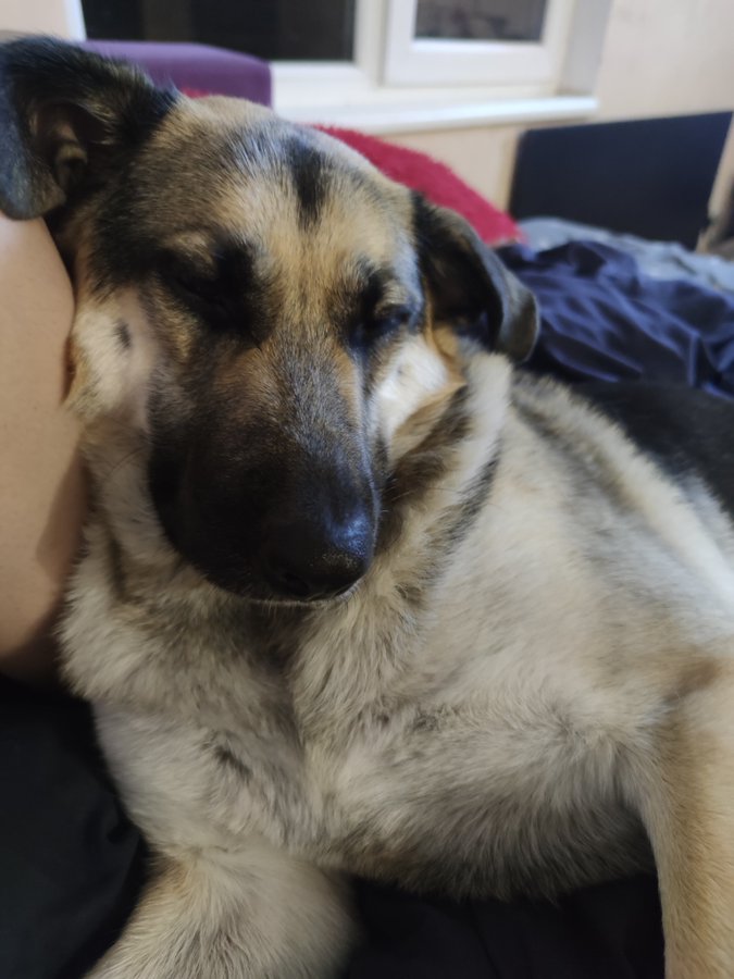 ‼️THE MATCH CONTINUES‼️

So, the biggest donation so far is $200. Who can give the most? A personal, exclusive video is at stake, don't miss out on yours 🙃

🔥Collected : $341, 9
🎯 To go: $1,058, 91

🅿️🅿️: vladimirhomzikov@gmail.com

🇺🇦🇺🇦 Together to victory 🇺🇦🇺🇦