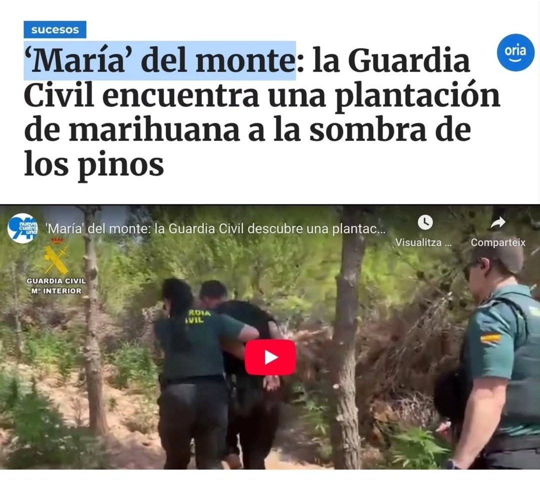 Mi más profundo respeto al redactor de este titular.