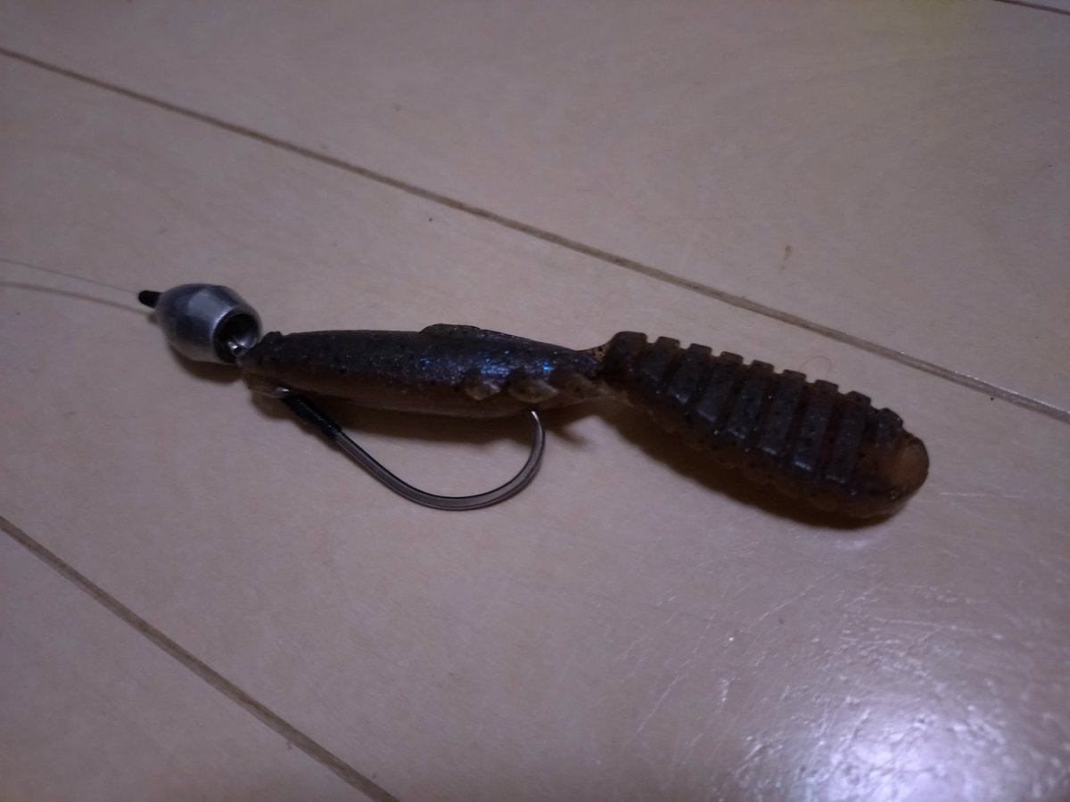 ICHIKAWAFISHING (@ichikawafish) / Posts / X