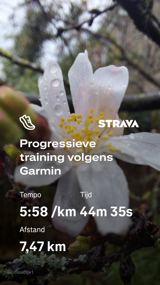 Na eerst zus naar revalidatie gebracht te hebben  training volgens Garmin <a href="/loopmaatjes/">Loopmaatjes</a>. Alleen relaxed moet veul langzamer.... nu zus weer ophalen en vanmiddag kapper. Fijne dag! strava.app.link/RSbSDdEqNYb