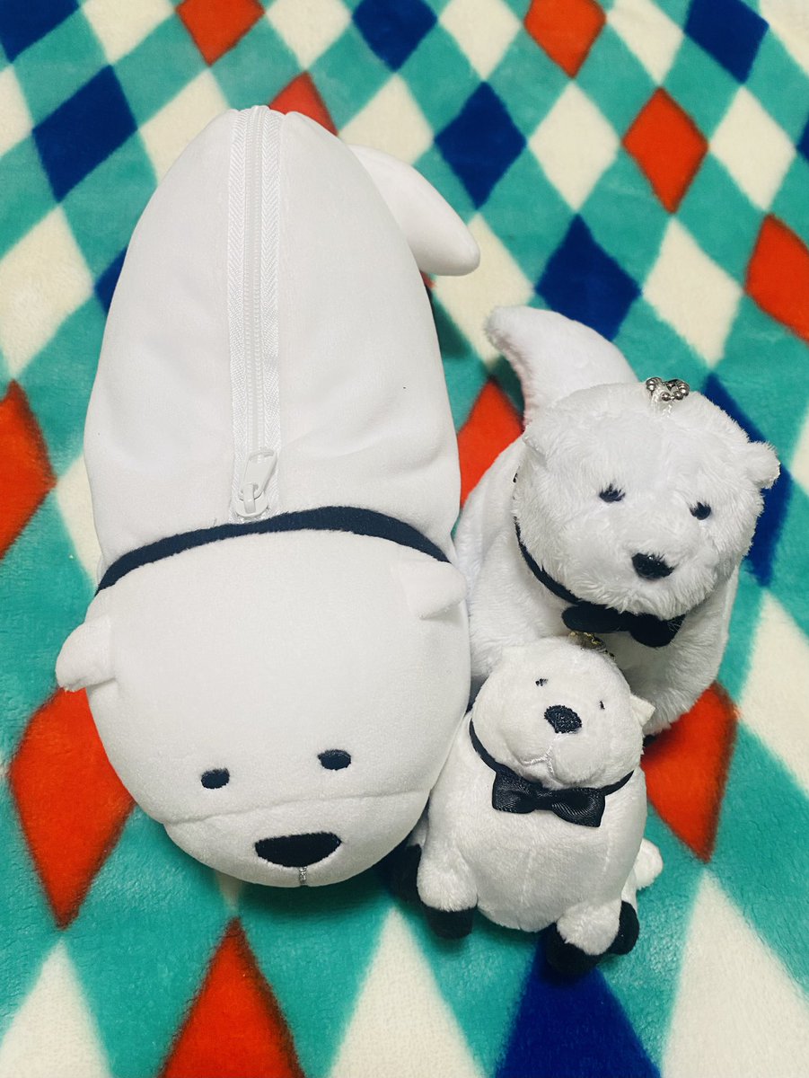 reenasunsetsp's tweet image. 昨日オンラインで注文出来たマスコット付きボトルとクリアファイルも届いたー！絵柄本当に好みすぎる…🥹🫶

そしてうちに来たボンドさんがこれにて3匹になりました😂今後増えていくかもな…🥹

#スパイファミリー 
#アフタヌーンティー