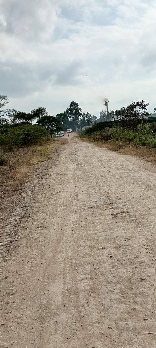 NelleonProperty's tweet photo. 🛣️ 500 m to tarmac || Well graded access roads
📑 Ready titles
💧⚡ Utilities available (Water &amp; Electricity) 
🏡 Ideal for residential homes

Book a viewing 👉 +254 759 036704 

#LandForSale #Kabati #Muranga #RealEstateKenya #InvestSmart https://t.co/efA135B8li