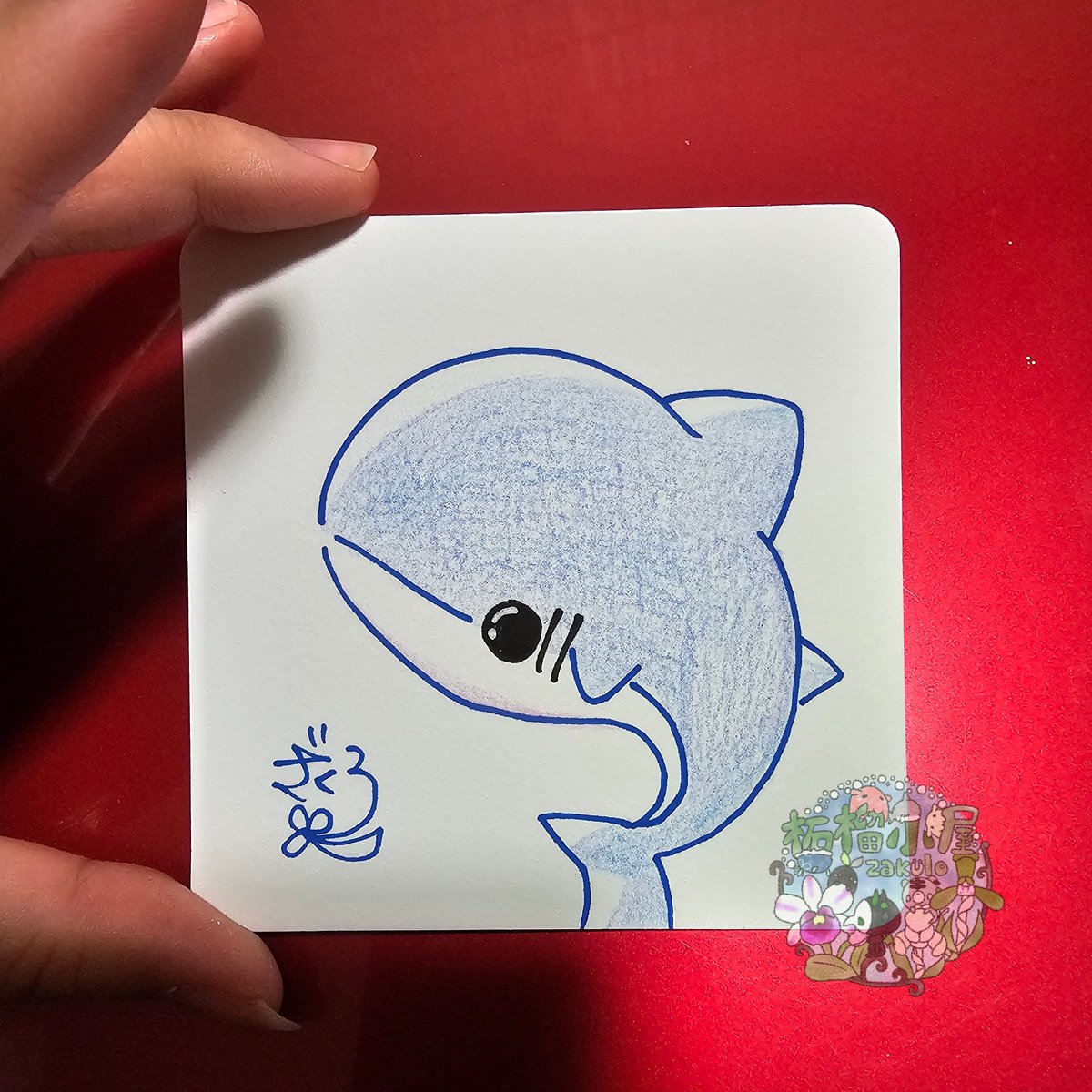 アサちゃんの毛づくろい アサちゃんって定期的に伝説を生み出してくるからただならぬ魅力を感じ