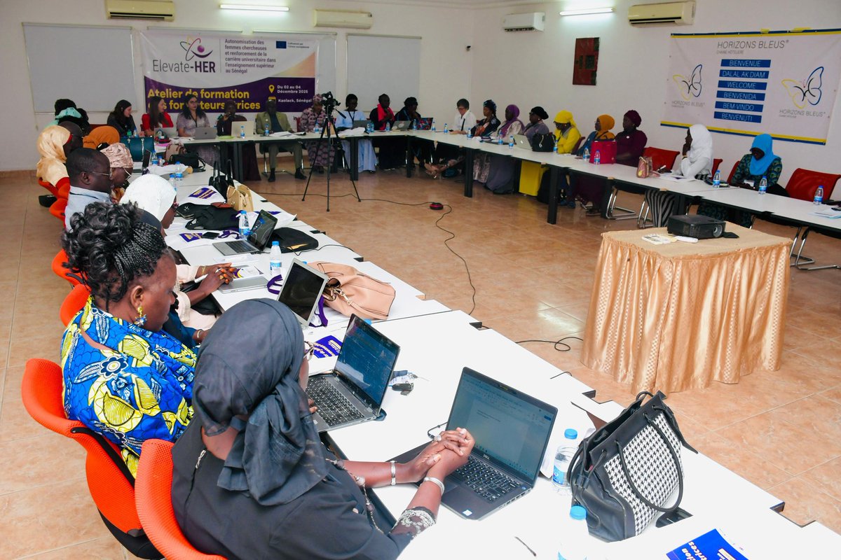 elevatehererasmus tweet media