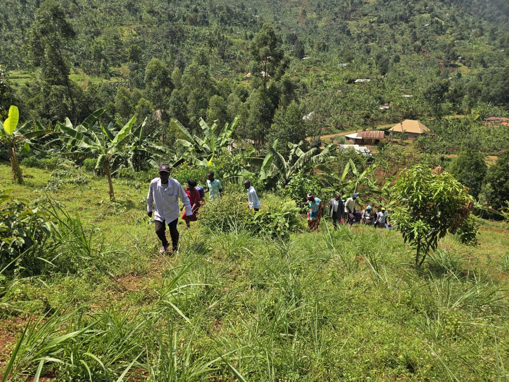 Site group committees and local government officials in Bududa district have had an intra site exchange visits to different restoration sites aimed at creating cross learning visit among the different site groups.  <a href="/NLinUganda/">Embassy of the Netherlands in Uganda</a> <a href="/WURenvironment/">WUR Environmental</a> <a href="/ISSDUganda/">ISSD Uganda</a>