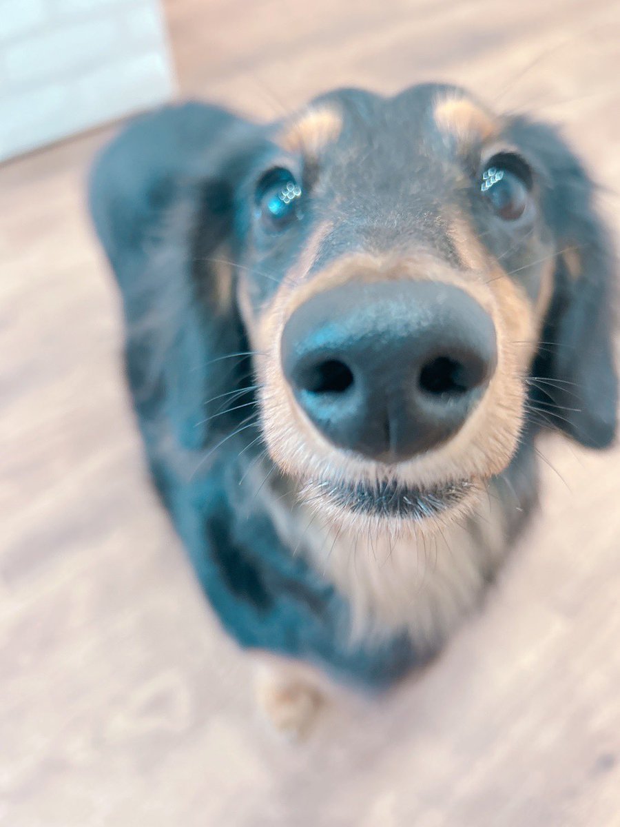 ＼🩷🩷🩷編んで🩷🩷🩷／