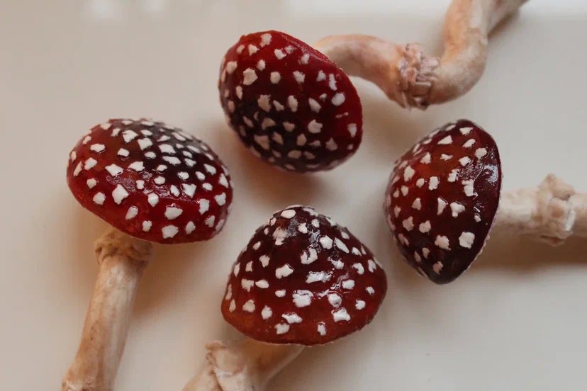 Настроение провести новогодний конкурс. Давай, праздничная магия твиттера, не подведи! 🎄🐴

Я хочу поделиться частичкой магии, а правила просты:
– Ретвитнуть этот пост
– Подписаться на меня
– Ждать

Победитель сможет выбрать мухомор или любую волшебную палочку. Удачи вам! 🍄🪄✨