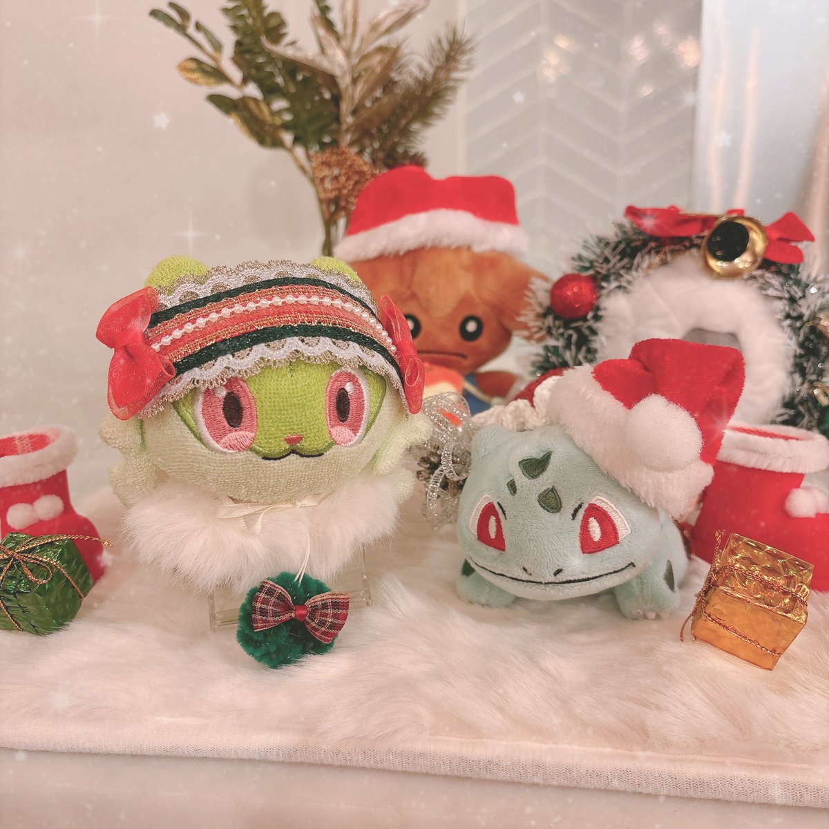 うぶちゃさんのふっしぃちゃんと📸💚 くさ御三家同士でお写真撮れて