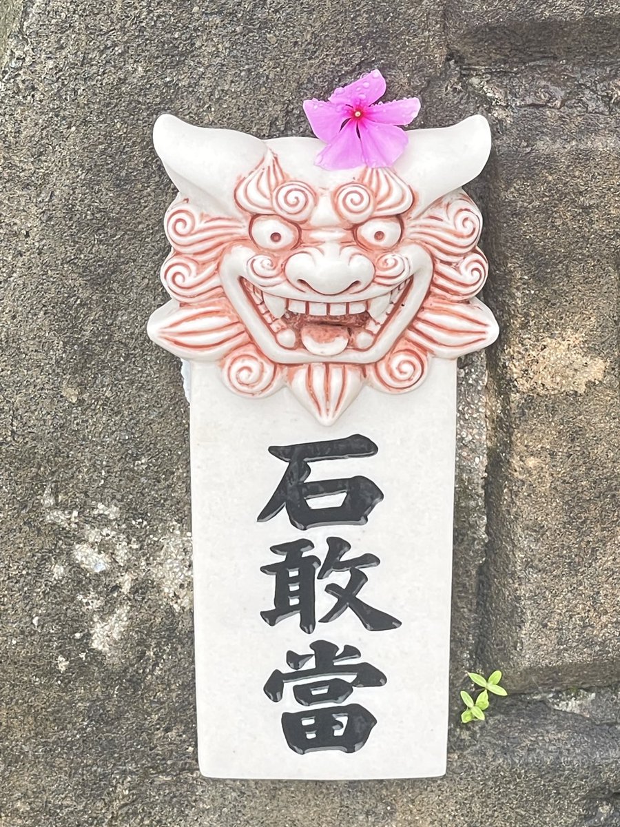 みー𓇼𓆉𓆝𓆟𓆜𓆞𓆝沖縄生活（ごはん•花•猫）コーチングコーチ