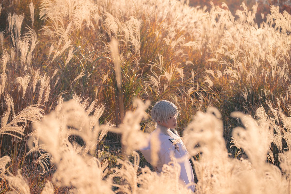 【cosplay_刀剣乱舞】

尾花の野にて

- - - - - - - - - - - - - - - - - - - - - - - - - - - -

Photo*(<a href="/O_O_mmmsu/">𓅸</a> )
#みまコス