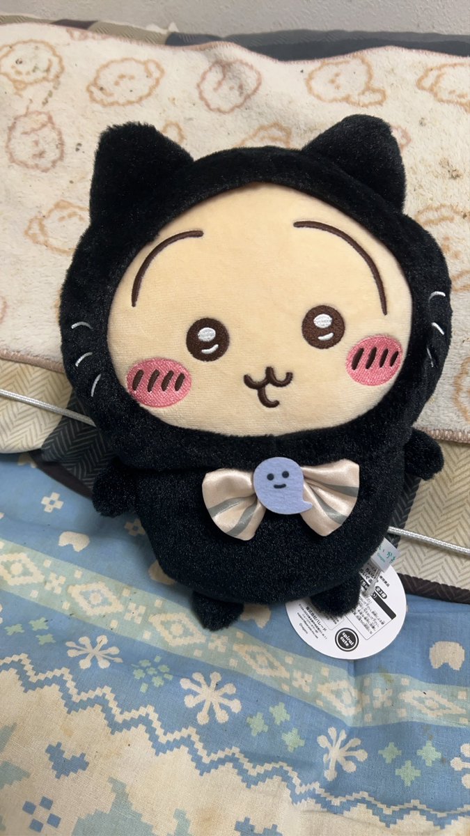 ちゃむ ちゃむ (@cham246281) / Posts / X