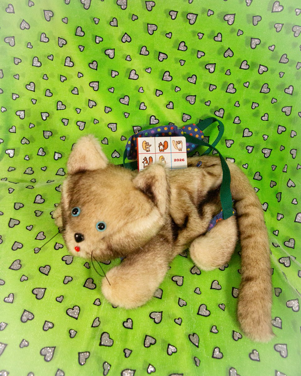 띠로리 TIRORI tweet media