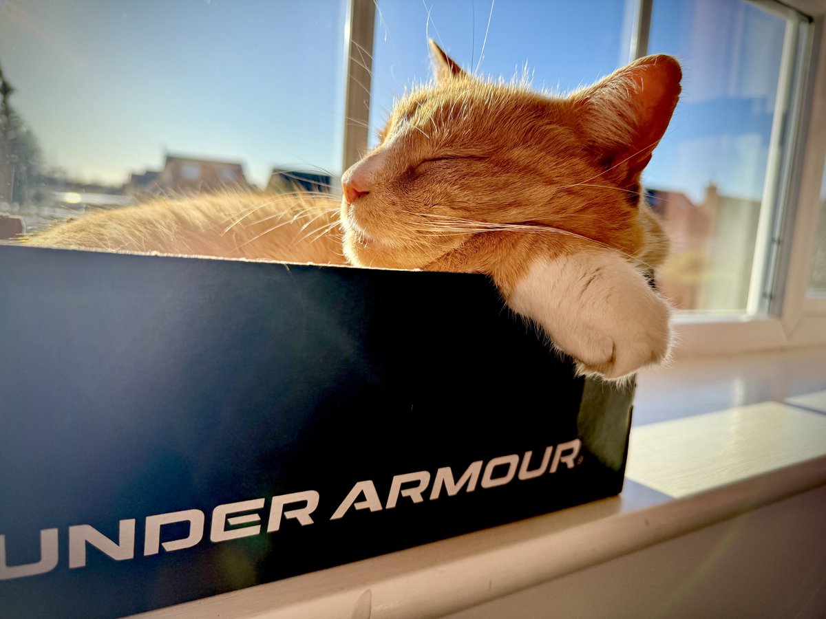 whatsgoingon tweet media