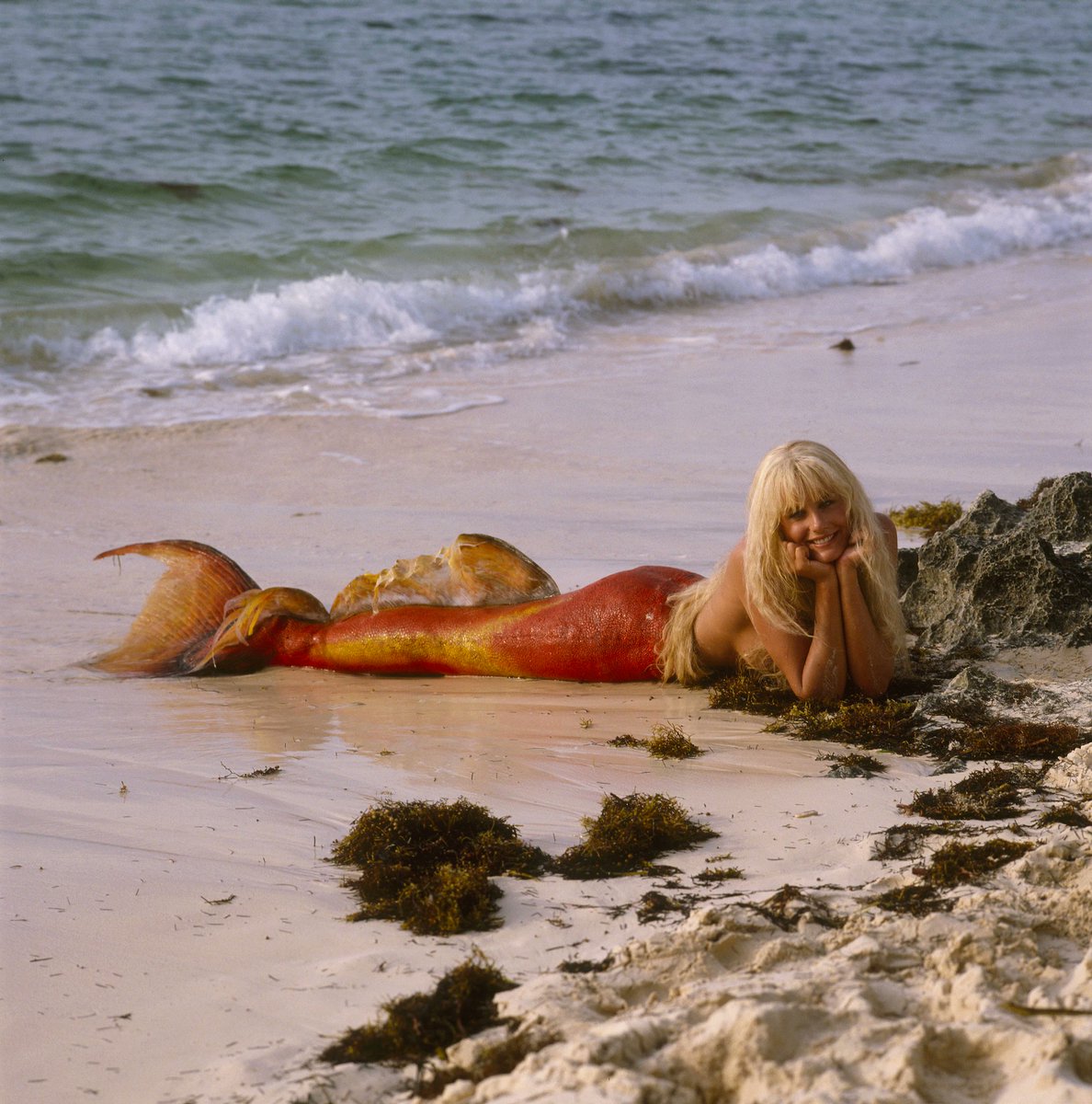 Disney_Wiki's tweet image. Happy Birthday, Daryl Hannah
For Disney, she portrayed Madison in the 1984 film #Splash and Lizzie in #MyFavoriteMartian.
She also appeared along with her sister, Page, in episode 212 of #MuppetsTonight, and the 1991 TV documentary, The Best of Disney: 50 Years of Magic.