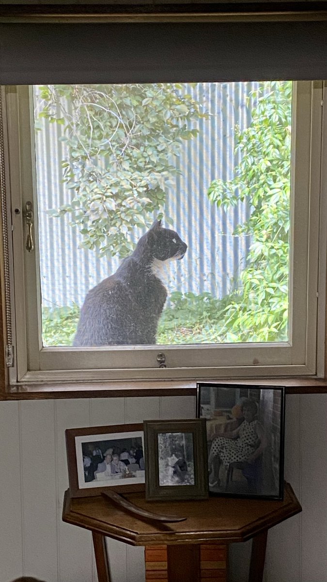 mitzyelliott's tweet image. #alphabetchallenge 
#weekWforWindow