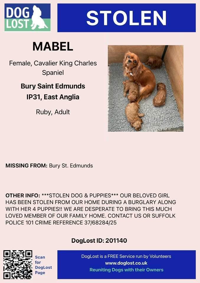 Katherine Cross tweet media