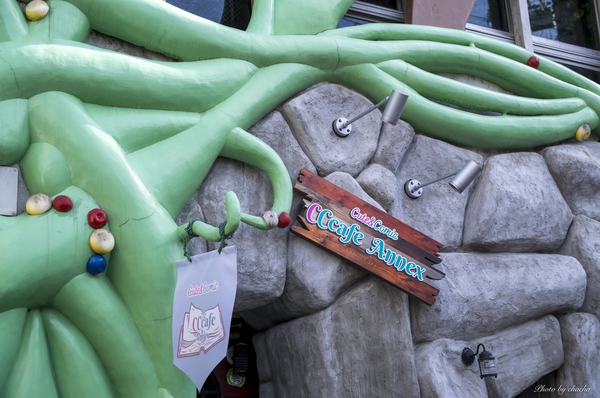 【☆ChaCha☆さま専用ページ】 CHACHA様 仕上がり画像