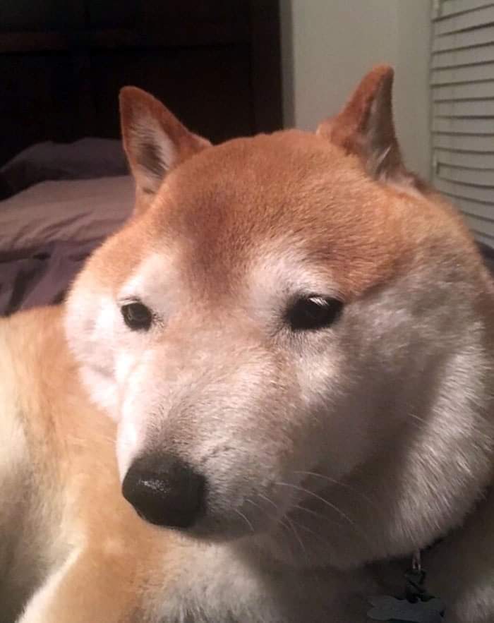 Lilium____'s tweet image. cris faloume das mamás reborn e agora mismo gustaríame estar xorda