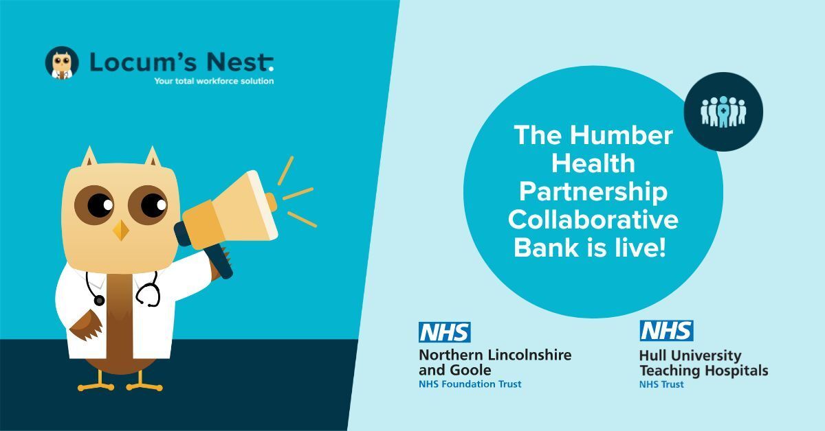 Locum's Nest tweet media