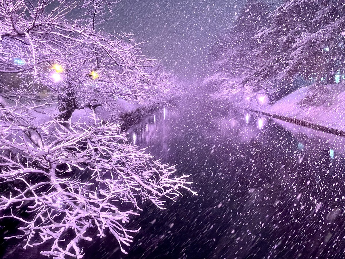 のんちゃん (@non_sv01) / Posts / X