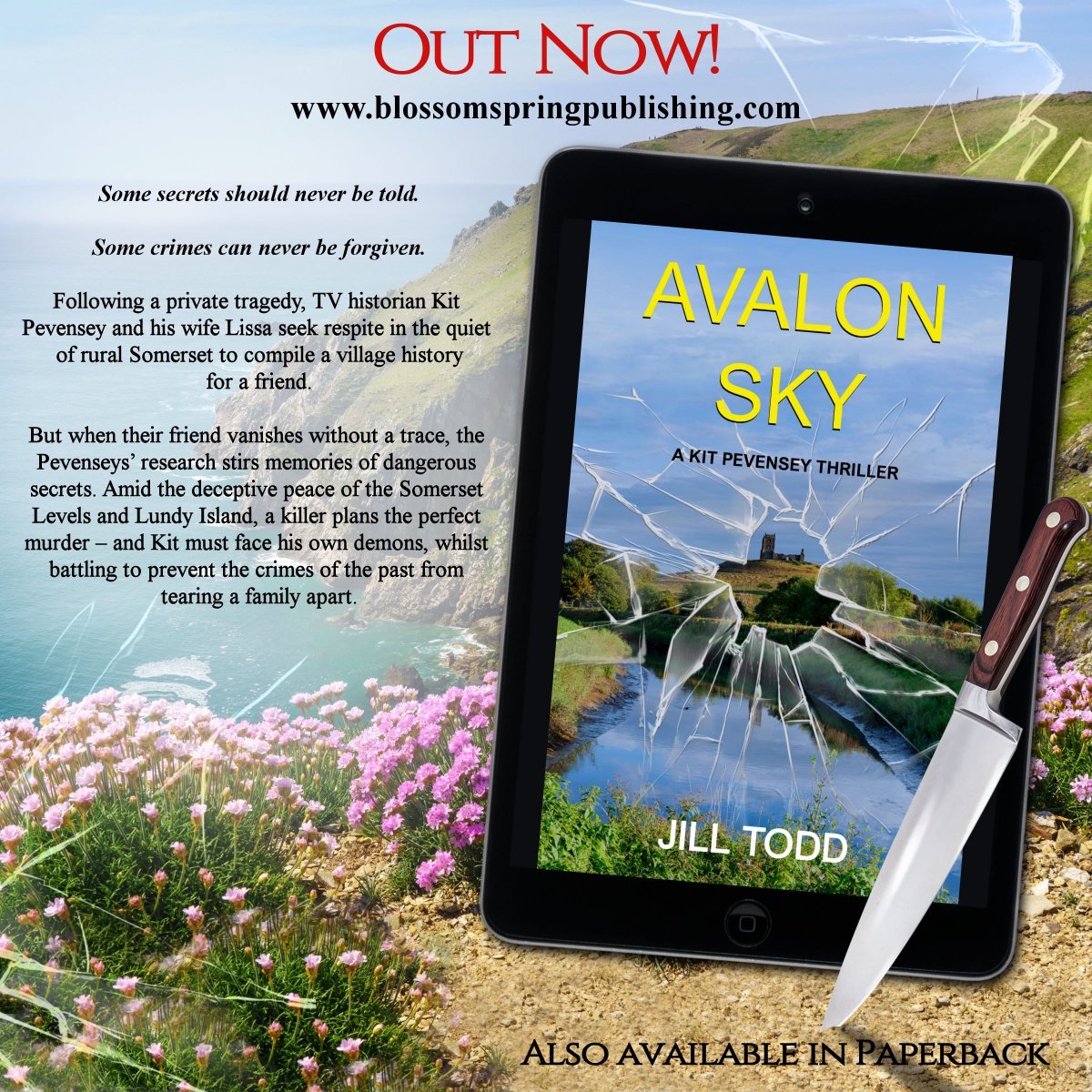 BlossomSpring3's tweet image. An interview with Jill Todd, please click on the link below to read.
awesomegang.com/avalon-sky-by-…