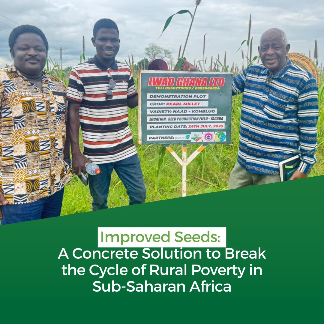 Seed Systems Group tweet media