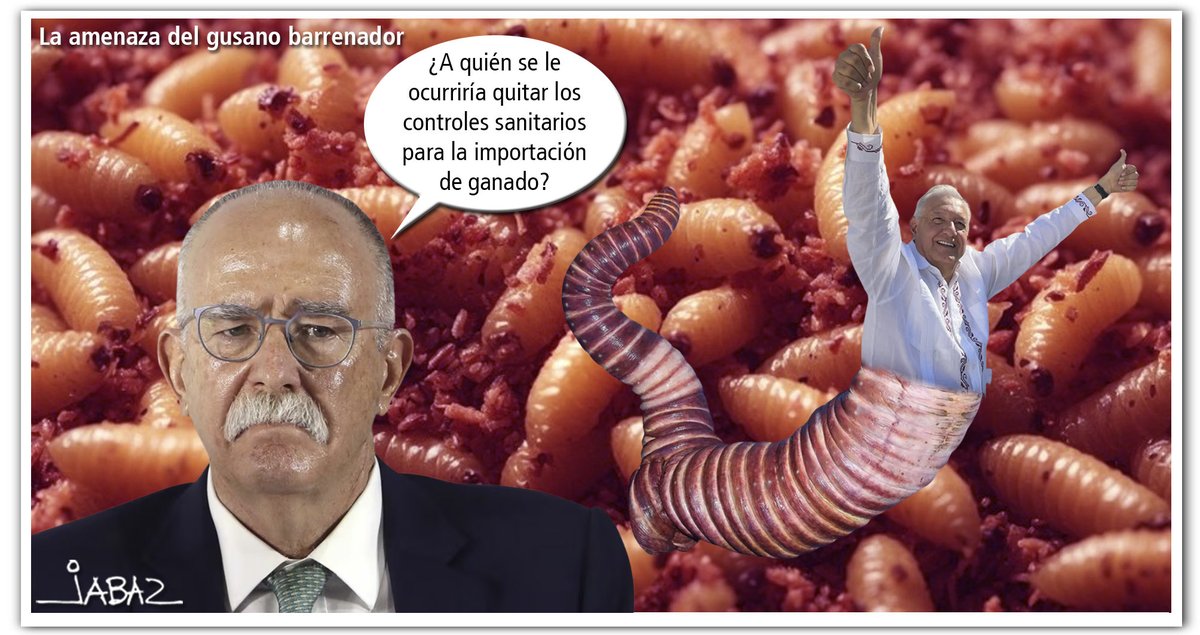 jabaz memero tweet media