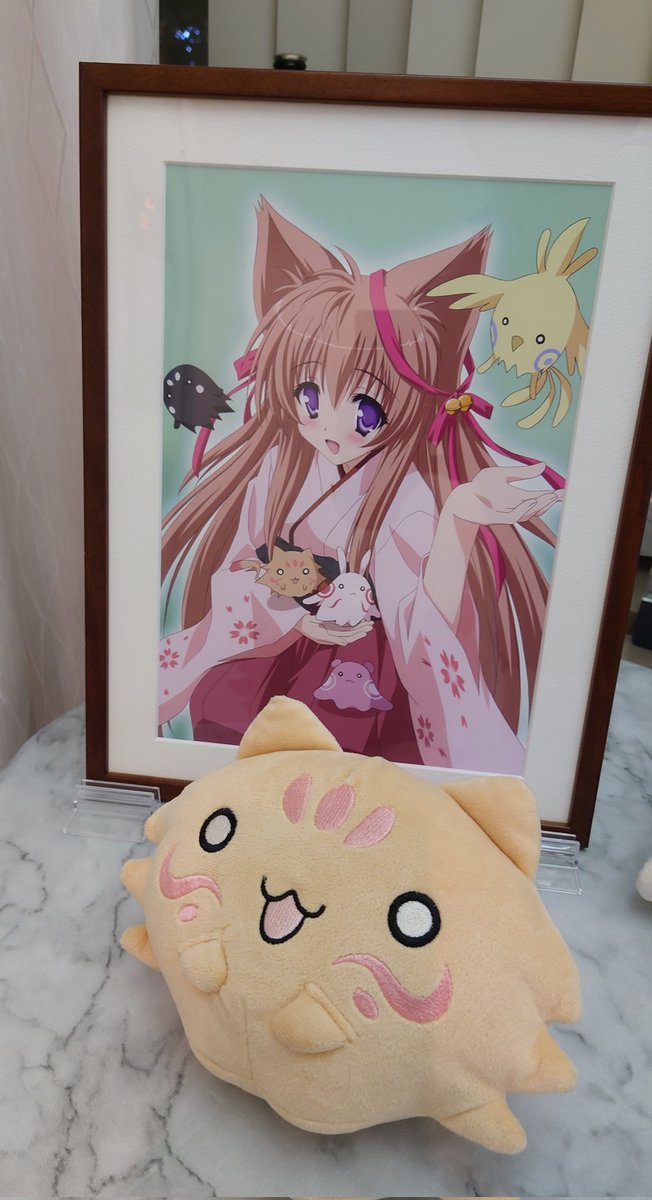 本日は、 『タユタマ』シリーズのファンの 方々にご来店頂きました