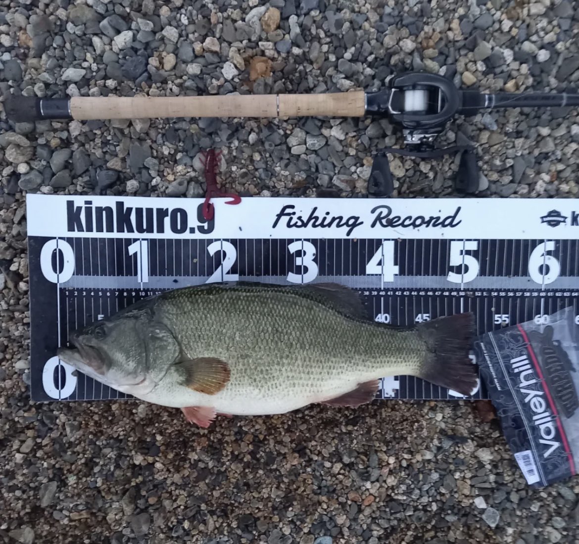 Valleyhill/バレーヒル (@Valleyhill20) / Posts / X