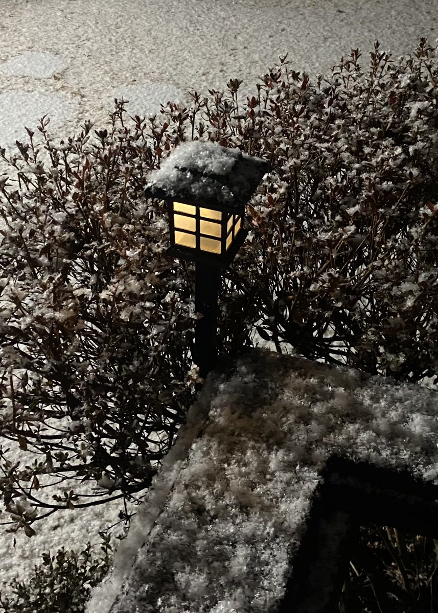 oldcomets's tweet image. 어느새 함박눈으로