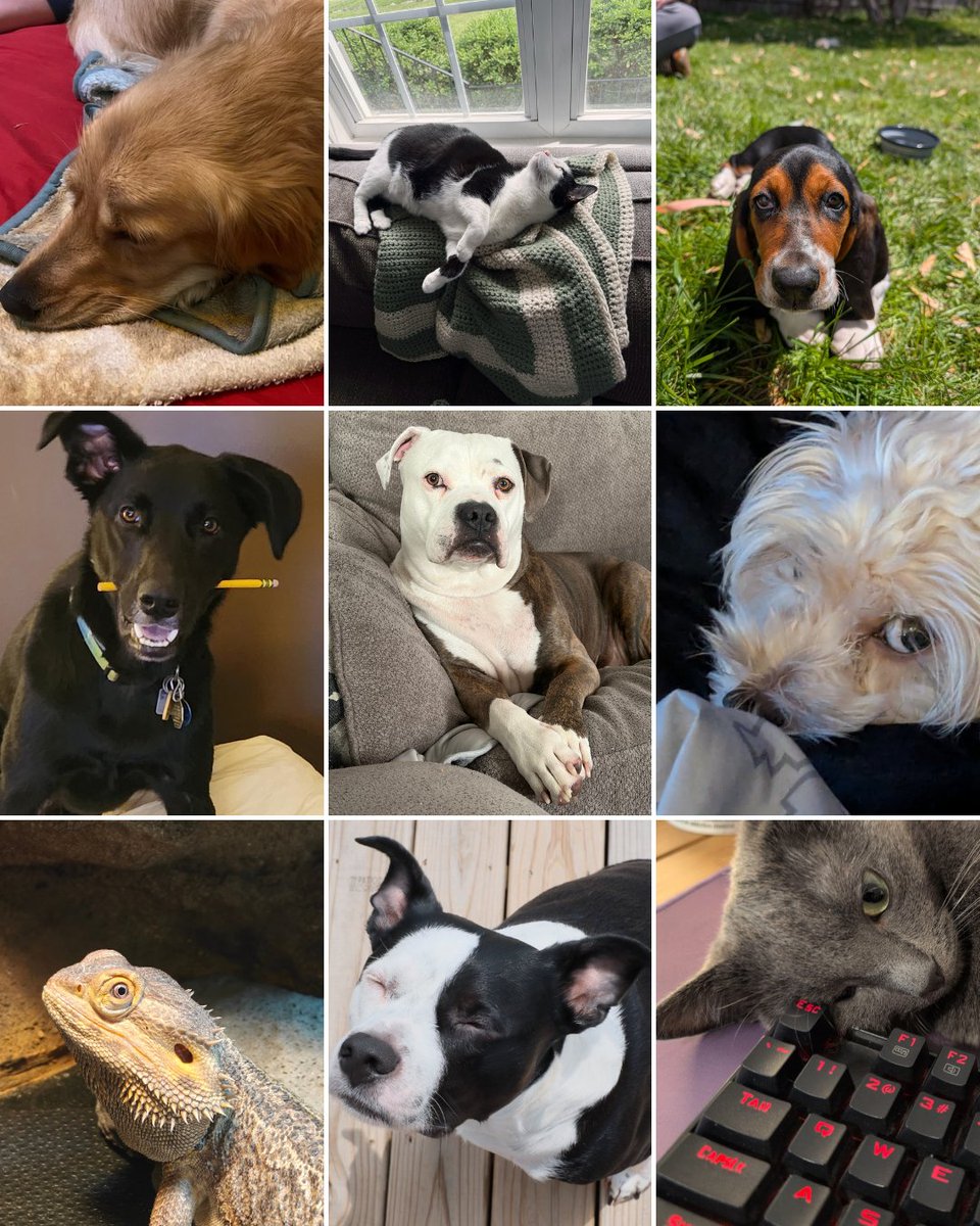 DataYard tweet media