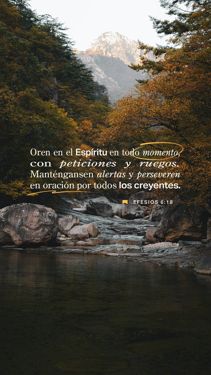 Efesios 6:18 RVR95
[18] Orad en todo tiempo con toda oración y súplica en el Espíritu, y velad en ello con toda perseverancia y súplica por todos los santos