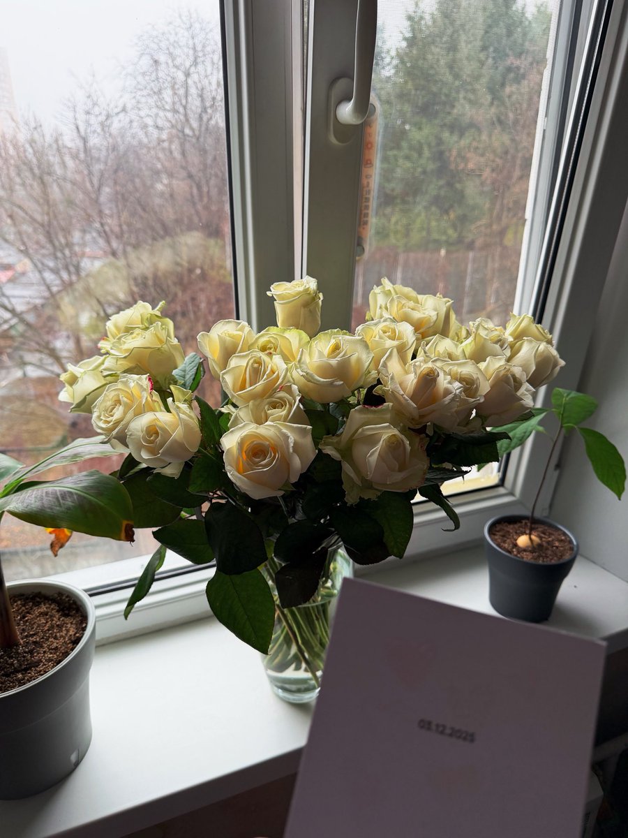 Сходила блять в тіндер за смішними скріншотами.