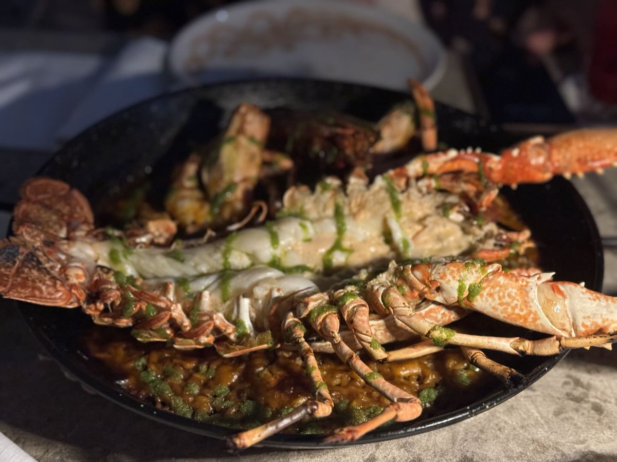 ▪️感谢OKX的商务舱机票和超级舒服的酒店！🖤

▪️迪拜天气很好适合过冬

闲暇之余还能用信号策略服务把躺着把钱赚了🖤

<a href="/okxchinese/">OKX中文</a> <a href="/Haiteng_okx/">海腾</a> <a href="/OKX_Yuki/">Yuki</a> <a href="/star_okx/">Star_OKX</a> <a href="/Mercy_okx/">Mercy</a>  <a href="/Cayne_okx/">Cayne.okx</a>

#xclub