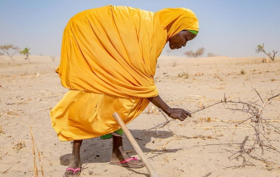 🌡️ Le changement climatique aggrave les crises sanitaires : paludisme, déshydratation, malnutrition.
Les #enfants et les #femmes rurales sont les premiers exposés.