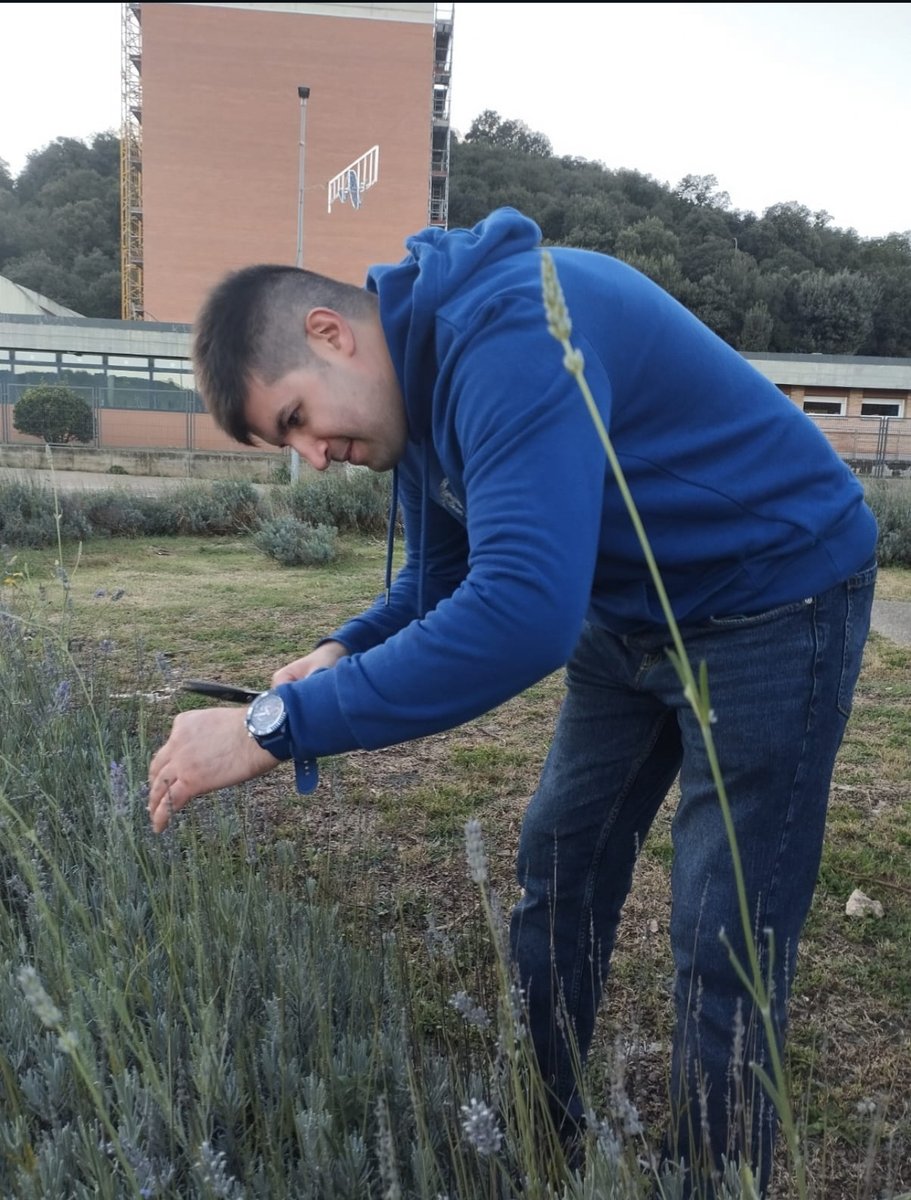 Fundació Els Joncs tweet media
