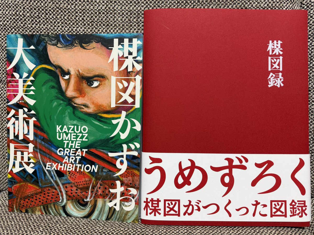 28日に届いてた楳図かずお「ZOKU-SHINGO COMPLETE BOX」をやっと読める